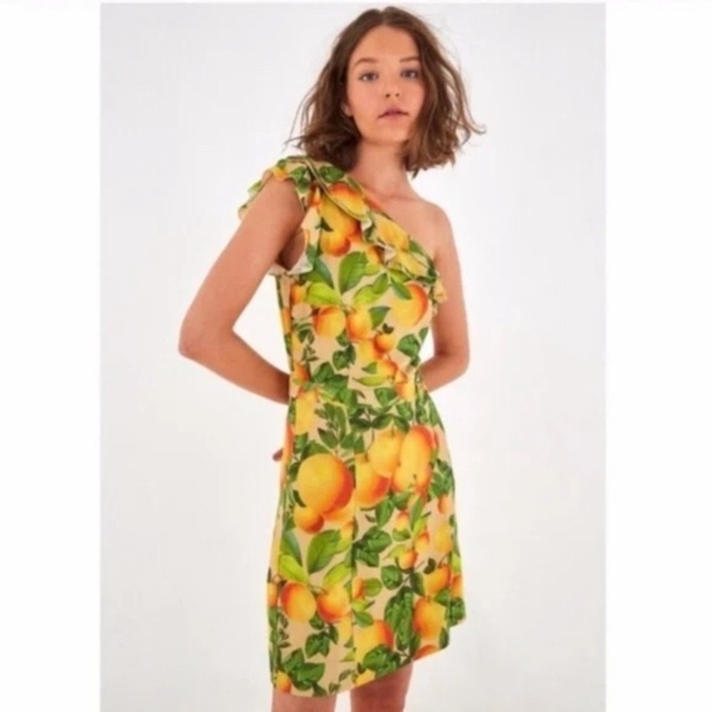 Farm Rio Fruit Orchard One-Shoulder Ruffle Mini Dress‎ Size Small